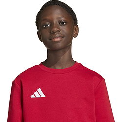 Voorvertoning: Adidas Entrada 26 Sweater Kinderen - Rood