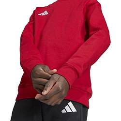Voorvertoning: Adidas Entrada 26 Sweater Kinderen - Rood