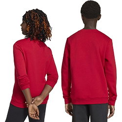 Voorvertoning: Adidas Entrada 26 Sweater Kinderen - Rood
