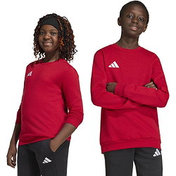 Voorvertoning: Adidas Entrada 26 Sweater Kinderen - Rood
