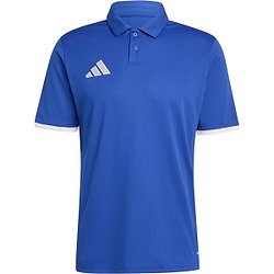 Adidas Entrada 26 Polo Hommes - Royal