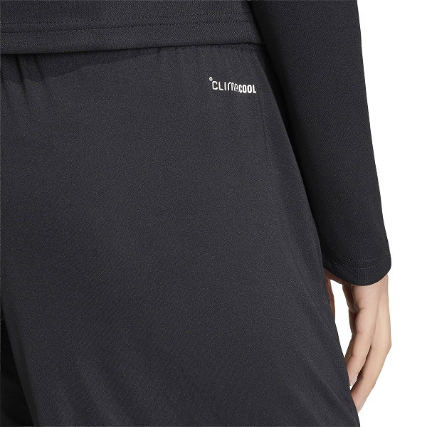 Adidas Entrada 26 Short D'entraînement Femmes - Noir