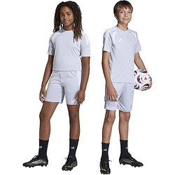 Présentation: Adidas Tiro 26 Short D'entraînement Enfants - Gris Clair / Blanc