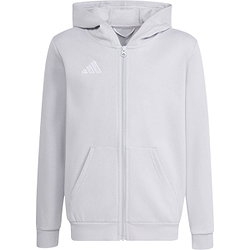 Adidas Entrada 26 Sweat À Capuche Enfants - Gris Clair / Blanc