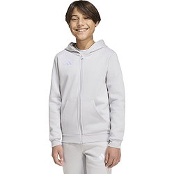 Présentation: Adidas Entrada 26 Sweat À Capuche Enfants - Gris Clair / Blanc