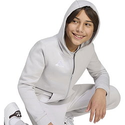 Présentation: Adidas Entrada 26 Sweat À Capuche Enfants - Gris Clair / Blanc
