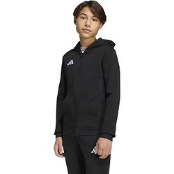 Voorvertoning: Adidas Entrada 26 Hoodie Kinderen - Zwart