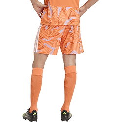 Présentation: Adidas Tiro 26 Competition Short De Gardien Hommes - Orange
