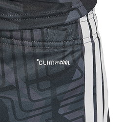 Présentation: Adidas Tiro 26 Competition Short De Gardien Hommes - Noir