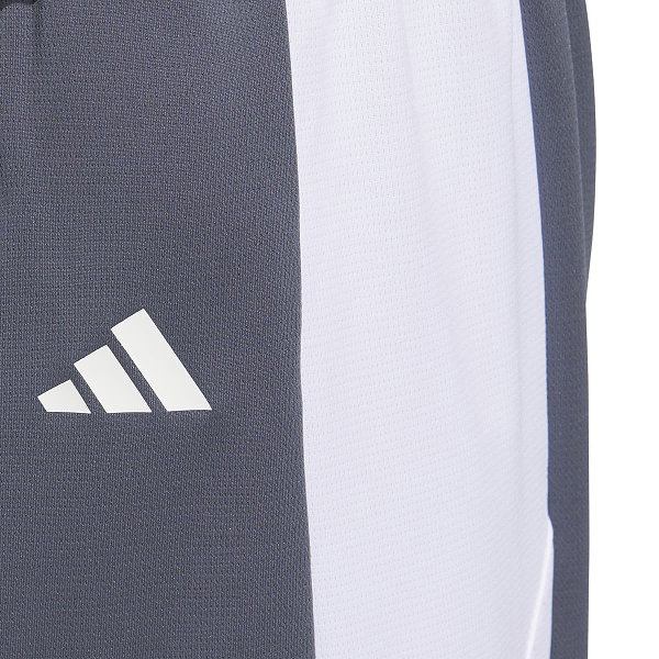 Adidas Pulse Speed Basketballshort Herren - Grau