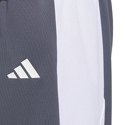 Vorschau: Adidas Pulse Speed Basketballshort Herren - Grau