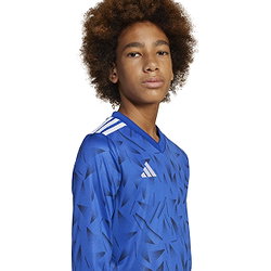 Voorvertoning: Adidas Team Icon 25 Voetbalshirt Lange Mouw Kinderen - Royal