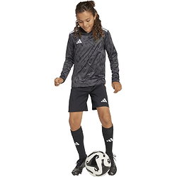 Voorvertoning: Adidas Team Icon 25 Voetbalshirt Lange Mouw Kinderen - Zwart