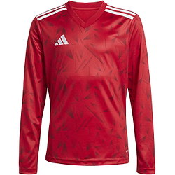 Voorvertoning: Adidas Team Icon 25 Voetbalshirt Lange Mouw Kinderen - Rood / Wit
