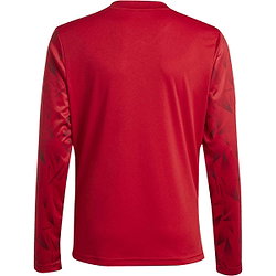 Voorvertoning: Adidas Team Icon 25 Voetbalshirt Lange Mouw Kinderen - Rood / Wit