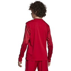 Voorvertoning: Adidas Team Icon 25 Voetbalshirt Lange Mouw Kinderen - Rood / Wit