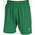 Joma Eurocopa III Shorts Herren - Grün