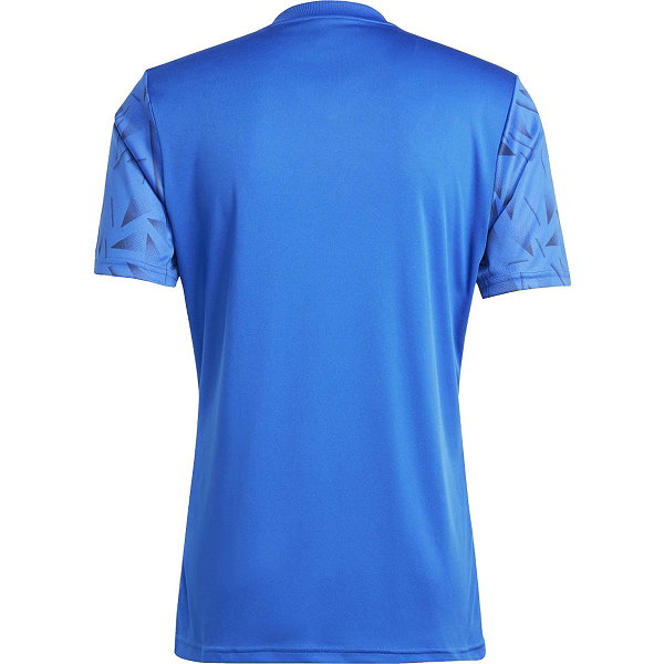 Adidas Team Icon 25 Shirt Korte Mouw Heren - Royal / Wit