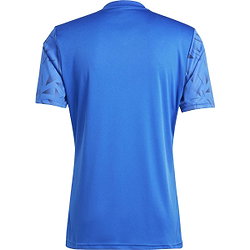 Voorvertoning: Adidas Team Icon 25 Shirt Korte Mouw Heren - Royal / Wit