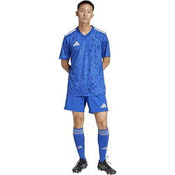 Voorvertoning: Adidas Team Icon 25 Shirt Korte Mouw Heren - Royal / Wit