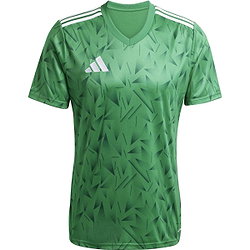 Adidas Team Icon 25 Trikot Kurzarm Herren - Grün / Weiß