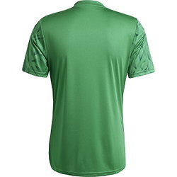 Présentation: Adidas Team Icon 25 Maillot Manches Courtes Hommes - Vert / Blanc