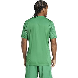 Présentation: Adidas Team Icon 25 Maillot Manches Courtes Hommes - Vert / Blanc