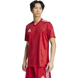 Vorschau: Adidas Team Icon 25 Trikot Kurzarm Herren - Rot / Weiß