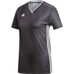 Adidas Tiro 19 Shirt Korte Mouw Dames - Donkergrijs / Wit