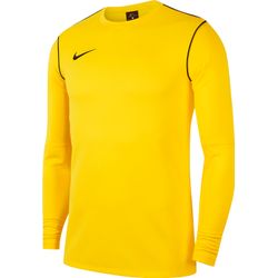 Nike Park 20 Sweater Heren - Geel
