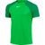 Nike Academy Pro T-Shirt Heren - Groen